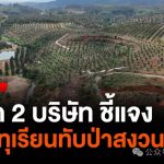 泰国资讯 榴莲园,中国资本的下一个暴雷点?-网投平台-博彩论坛-博彩平台