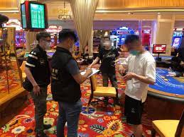 深度揭秘：白菜论坛真实用户评价合集-网投平台-博彩论坛-博彩平台